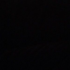 Meet your Posher, Darlene